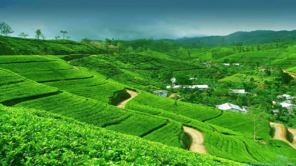 639867 1920x1080 desktop 1080p sri lanka background photo