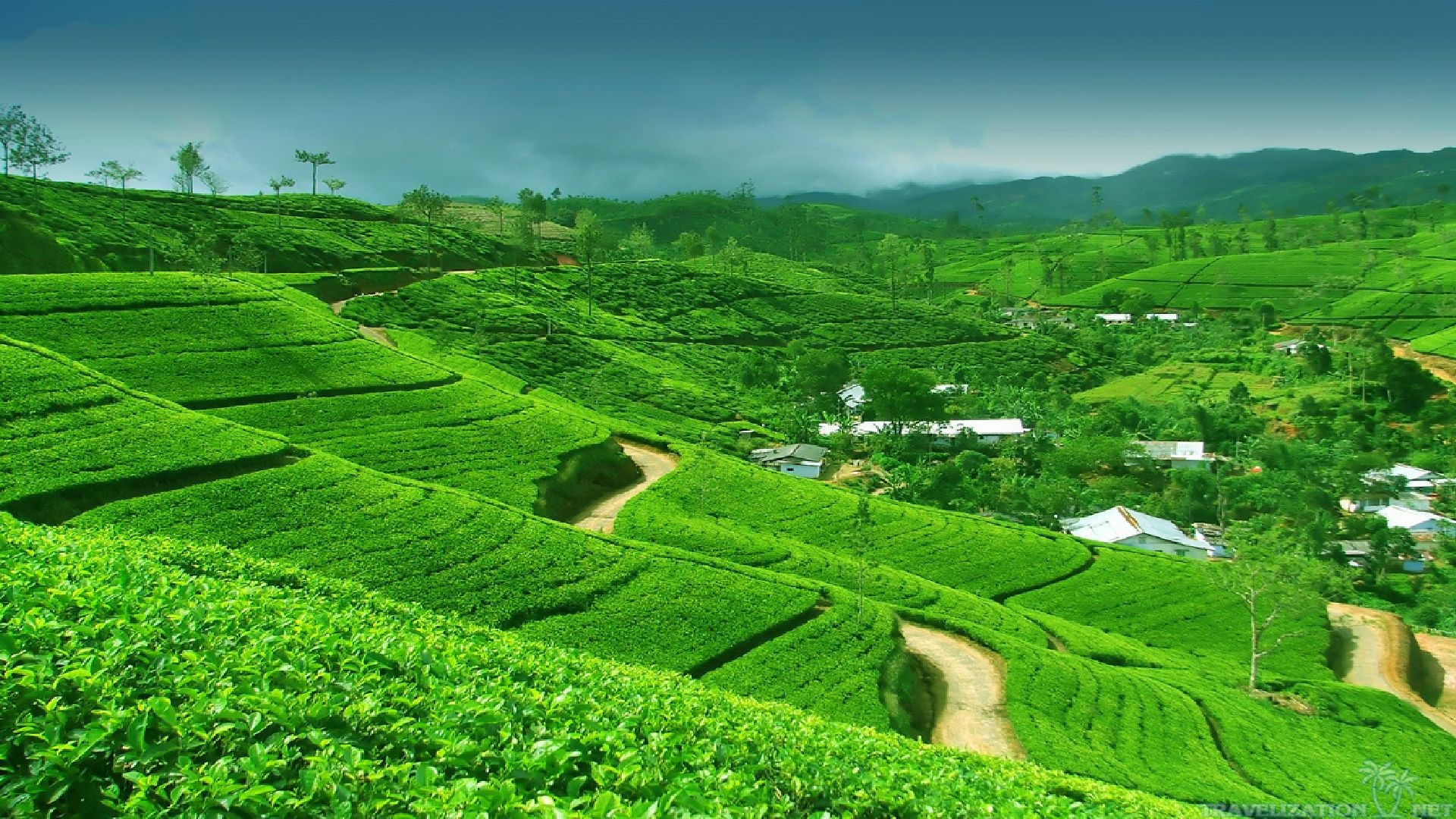 639867 1920x1080 desktop 1080p sri lanka background photo